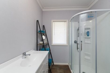 Photo of property in 117 Clevely Line, Bunnythorpe, Palmerston North, 4478