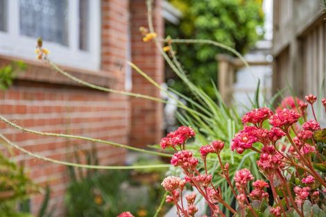 Photo of property in 8a Selwyn Avenue, Avenues, Whangarei, 0110