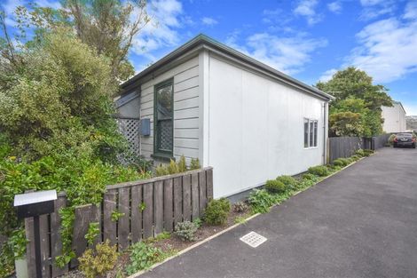 Photo of property in 56 Melbourne Street, South Dunedin, Dunedin, 9012