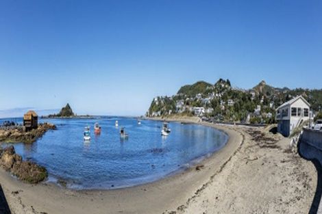 Photo of property in 156 Derwent Street, Island Bay, Wellington, 6023