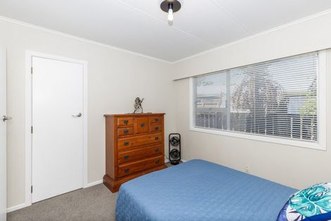 Photo of property in 20 Caernarvon Street, Dinsdale, Hamilton, 3204