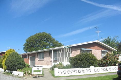 Photo of property in 43a Leefield Street, Blenheim, 7201
