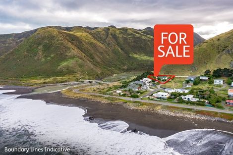 Photo of property in 5 Mangatoetoe Grove, Cape Palliser, Pirinoa, 5772