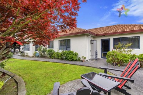 Photo of property in 17 Mabey Road, Avalon, Lower Hutt, 5011