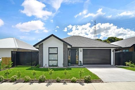 Photo of property in 171 Adler Drive, Ohauiti, Tauranga, 3112