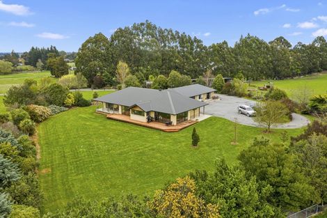 Photo of property in 167 Marshmans Road, Ashley, Rangiora, 7477