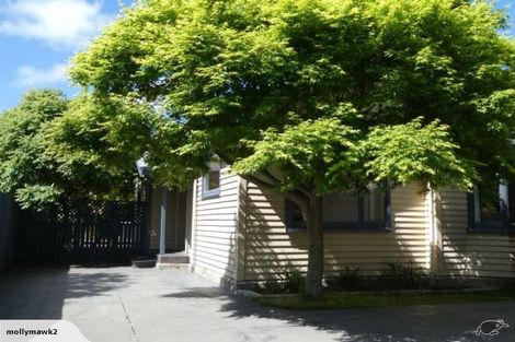 Photo of property in 51 Ngaio Street, Saint Martins, Christchurch, 8022