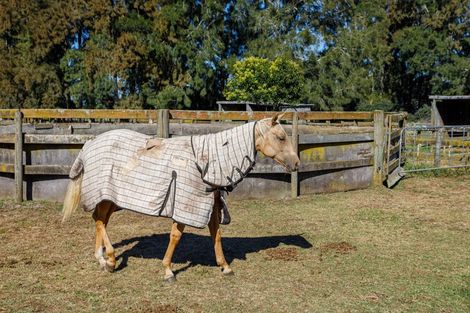 Photo of property in 305 Hallett Road, Otakiri, Whakatane, 3192