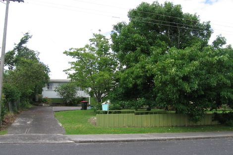 Photo of property in 58 Webster Avenue, Mount Roskill, Auckland, 1041