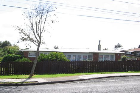 Photo of property in 9 Pomaria Road, Henderson, Auckland, 0610