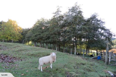 Photo of property in 245 Ormond Valley Road, Ormond, Gisborne, 4071