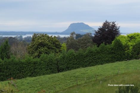 Photo of property in 313 Youngson Road, Whakamarama, Tauranga, 3179