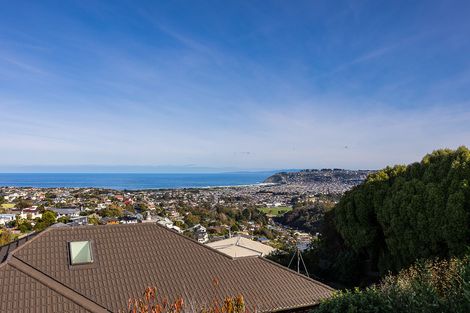 Photo of property in 42 Mckerrow Street, Shiel Hill, Dunedin, 9013