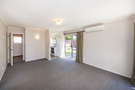 Photo of property in 146e Victoria Avenue, Hokowhitu, Palmerston North, 4410