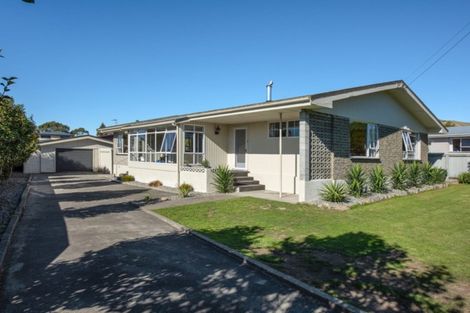 Photo of property in 169 Redwood Street, Witherlea, Blenheim, 7201