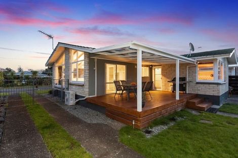 Photo of property in 21 Wake Street, Chartwell, Hamilton, 3210