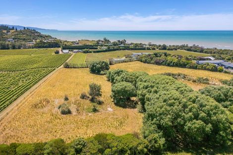 Photo of property in 50 Cliff Road, Tasman, Upper Moutere, 7173
