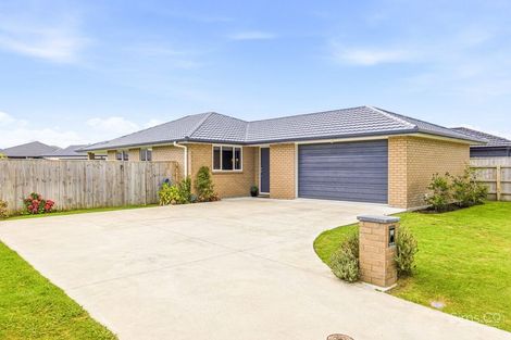 Photo of property in 63 Tawhero Street, Gonville, Whanganui, 4501