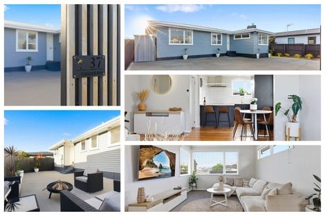 Photo of property in 37 Concord Avenue, Mount Maunganui, 3116