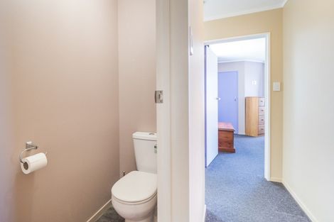 Photo of property in 22 Churcher Street, Feilding, 4702