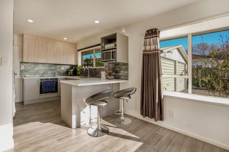 Photo of property in 68a Ryan Street, Phillipstown, Christchurch, 8011