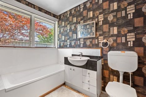 Photo of property in 23 Murray Street, Gate Pa, Tauranga, 3112