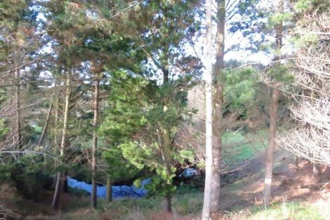 Photo of property in 143 Homestead Road, Weston, Oamaru, 9491