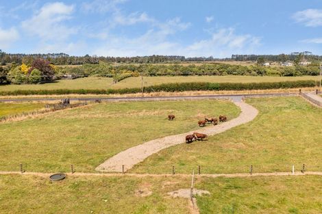 Photo of property in 39 Rugby Road, Tariki, 4388