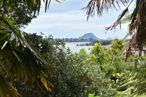 Photo of property in 64b Tutauanui Crescent, Maungatapu, Tauranga, 3112