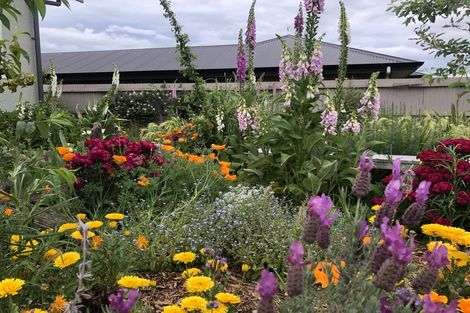 Photo of property in 16 Walshs Road, Allenton, Ashburton, 7700