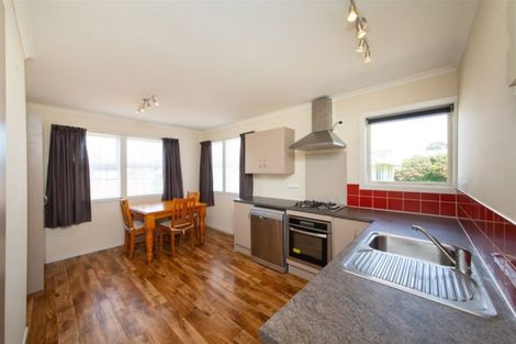 Photo of property in 102 Limbrick Street, Terrace End, Palmerston North, 4410