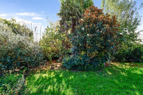 Photo of property in 17 Wembley Close, Nawton, Hamilton, 3200