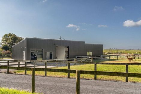 Photo of property in 503b Te Puke Highway, Te Puke, 3187