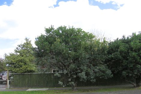 Photo of property in 61 Hinekura Avenue, Taupo, 3330