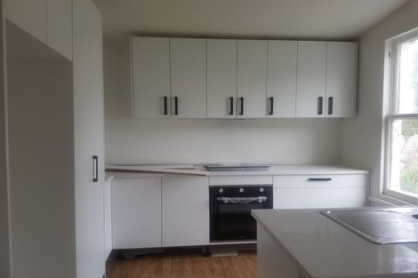 Photo of property in 50 Nikau Road, Otahuhu, Auckland, 1062