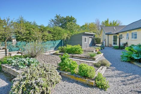 Photo of property in 10 Newton Place, Amberley, 7410