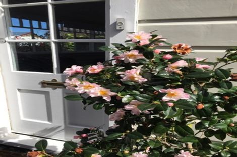 Photo of property in 6 Miro Street, Eastbourne, Lower Hutt, 5013