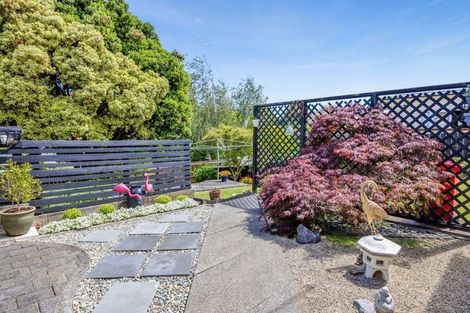 Photo of property in 11 Fitzherbert Avenue, Springvale, Whanganui, 4501