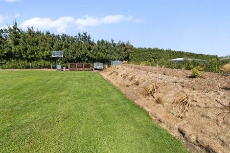 Photo of property in 46b Murdochs Road, Newland, Ashburton, 7772