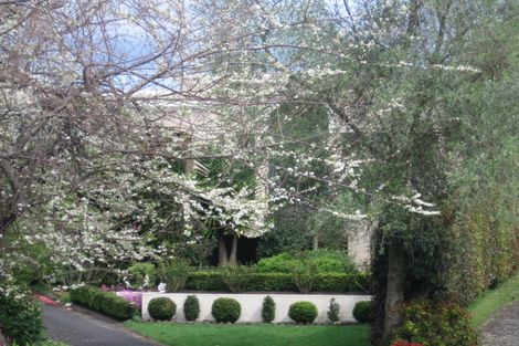 Photo of property in 36 Harvey Street, Tauranga South, Tauranga, 3112