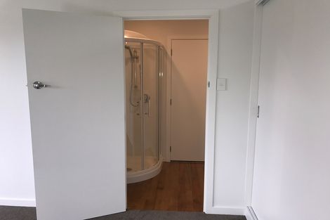 Photo of property in 117 Doon Street, Waverley, Dunedin, 9013