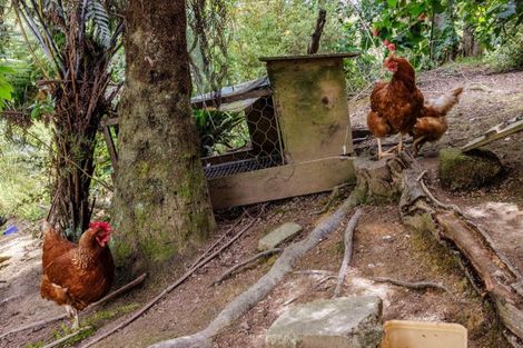 Photo of property in 2 Beaufort Street, Opua, 0200