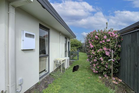 Photo of property in 17 Timms Place, Kuripuni, Masterton, 5810