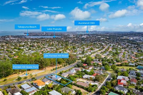 Photo of property in 234 Forrest Hill Road, Forrest Hill, Auckland, 0620