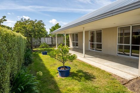 Photo of property in 145a Redwood Street, Redwoodtown, Blenheim, 7201