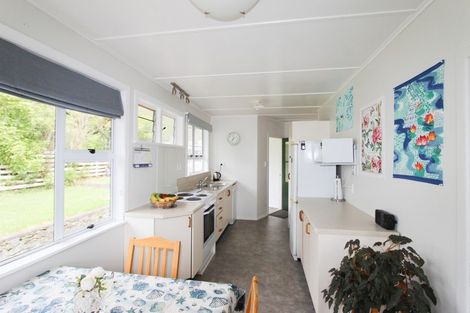 Photo of property in 54 Tiraumea Road, Pahiatua, 4981