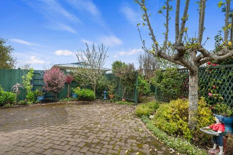 Photo of property in 23b Larch Street, Victoria, Rotorua, 3010