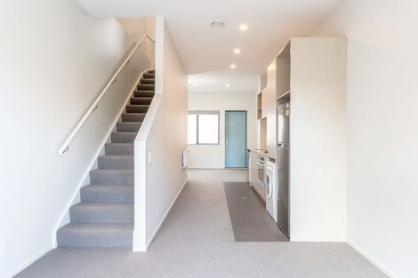 Photo of property in Aniva Terrace, 14 Arney Street, Newtown, Wellington, 6021