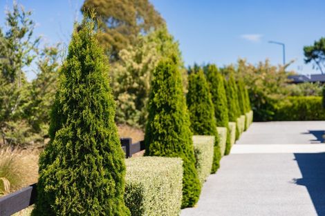 Photo of property in 20 Mersham Drive, Prebbleton, 7604