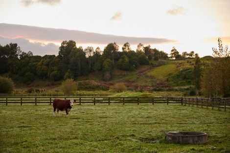 Photo of property in 56e Te Puna Road, Te Puna, Tauranga, 3174